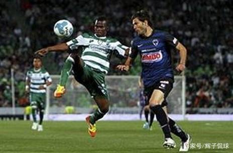 不仅可以提 不仅可以提