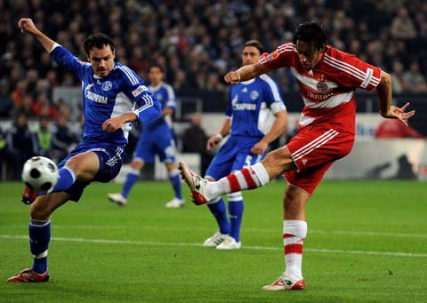 在青岛海牛 在青岛海牛