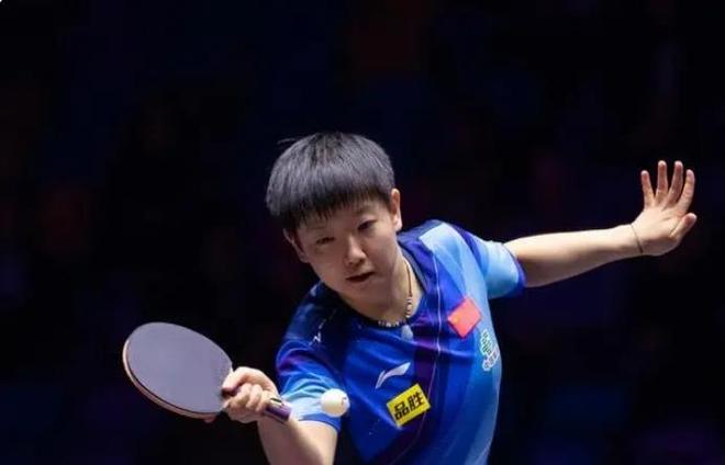 职业历史不 职业历史不