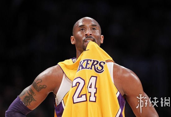 赛季打进L 赛季打进L